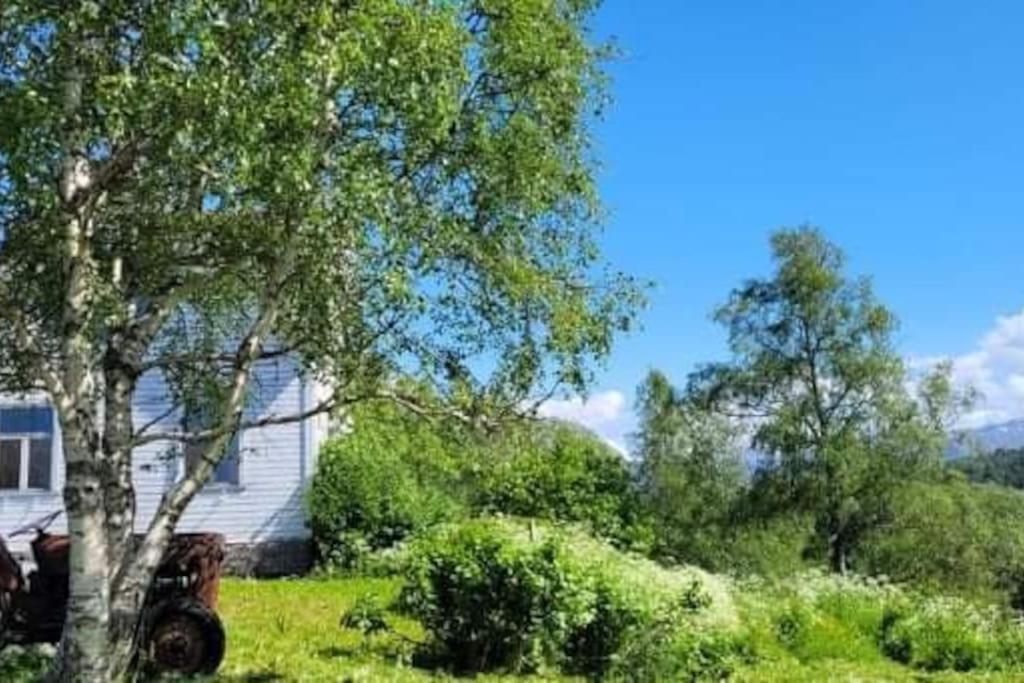 Skogan Appartement Leirfjord Buitenkant foto