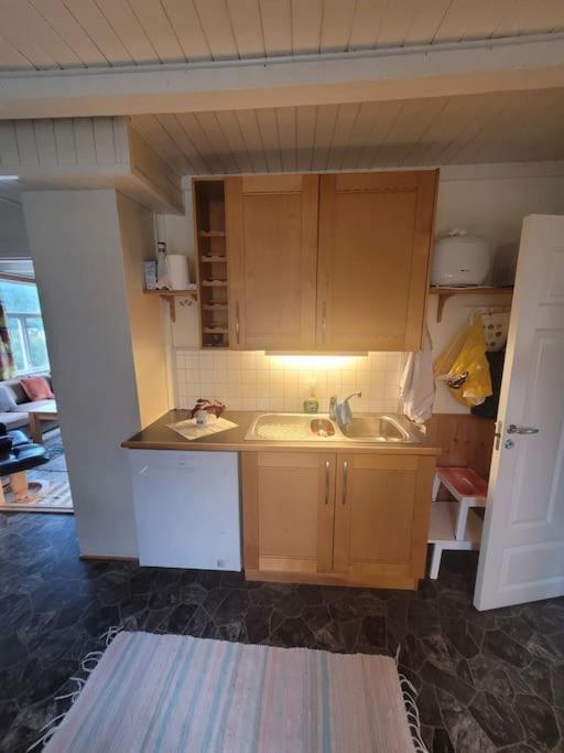 Skogan Appartement Leirfjord Buitenkant foto