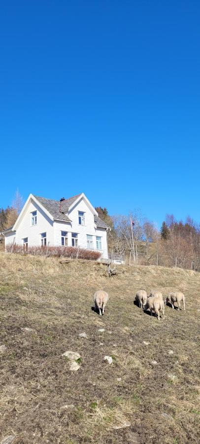 Skogan Appartement Leirfjord Buitenkant foto